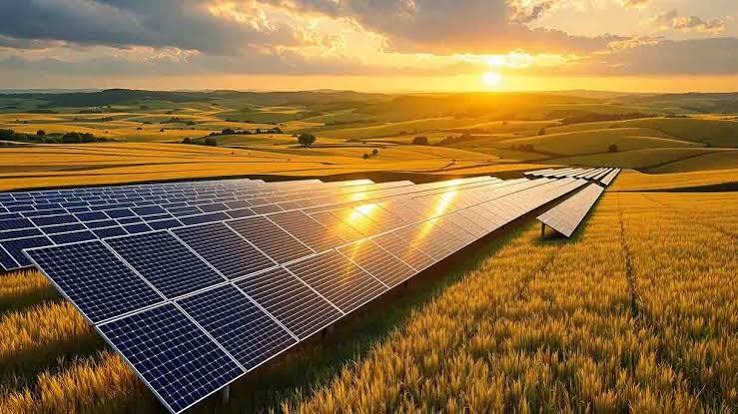Solar panels on rooftop with clear sky — affordable solar installation by Hatwar Infrastructure